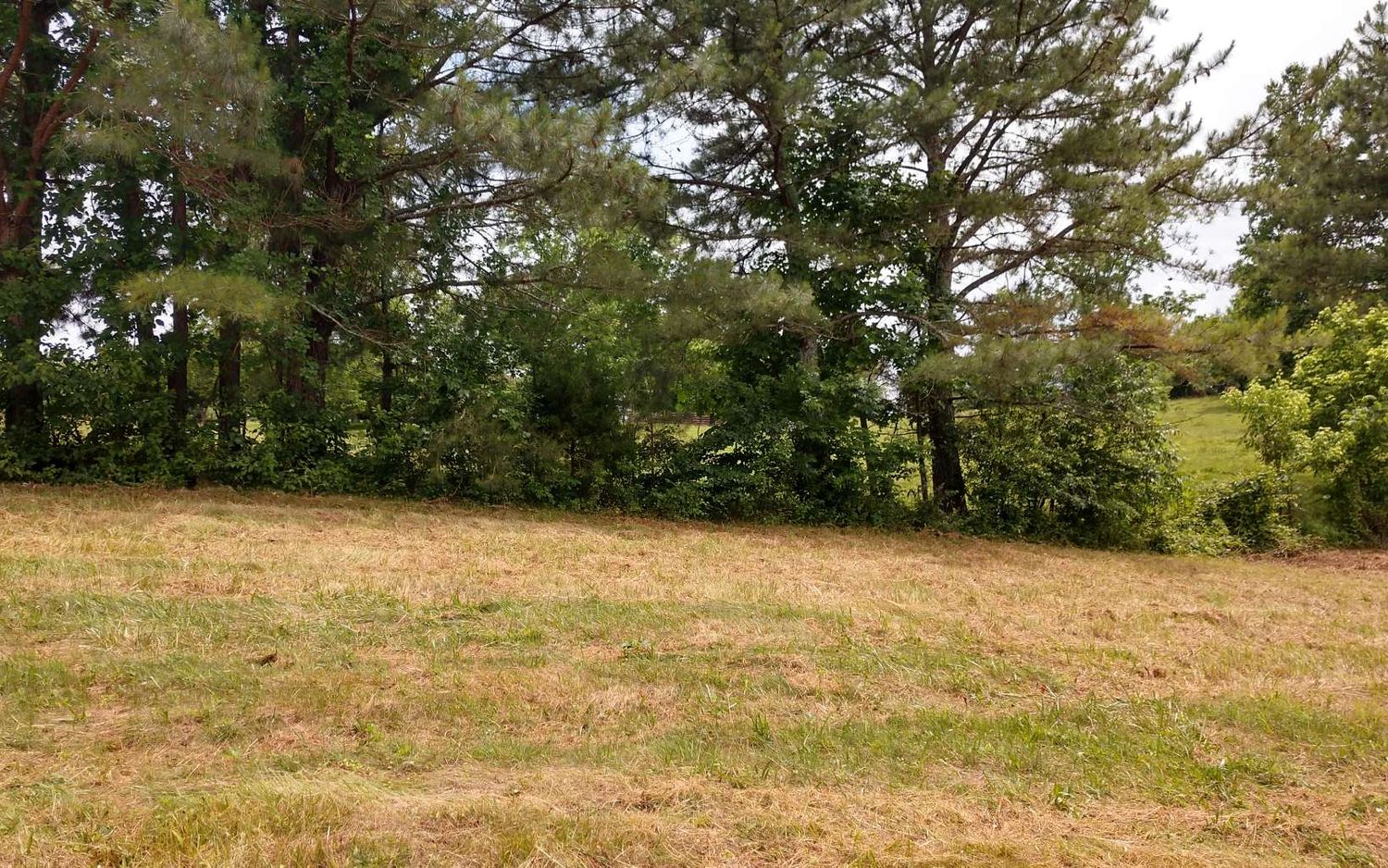 1775 Hwy 64 W, Hayesville, NC 28904